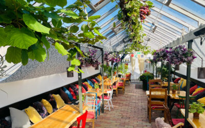 Slottsträdgårdens Kafé FOTO: High Five Skåne